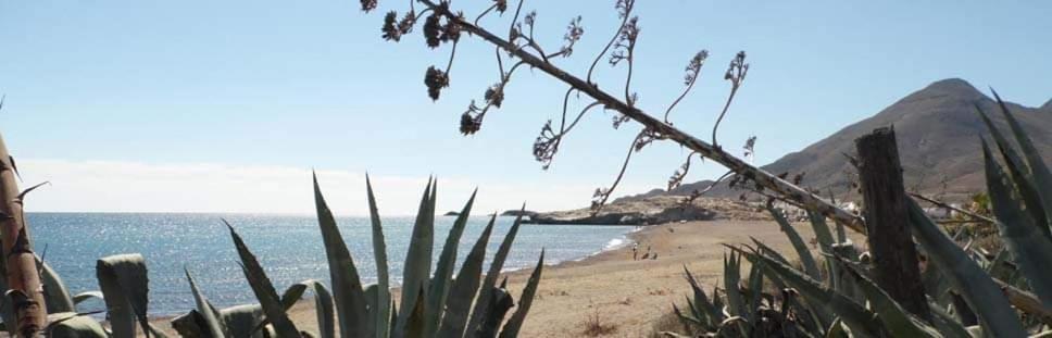 Hostal Casa Emilio المرية المظهر الخارجي الصورة